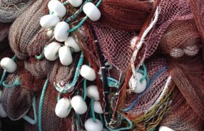 HARVESTING NETS