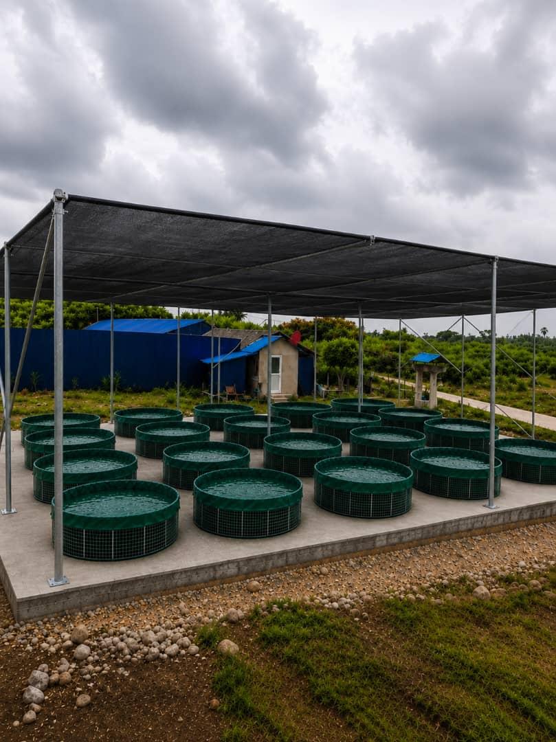 Rows of circular green fish tanks beneath a shade-net canopy at an aquaculture facility.